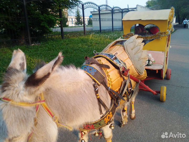 Тележка экипаж сани для пони двуколка