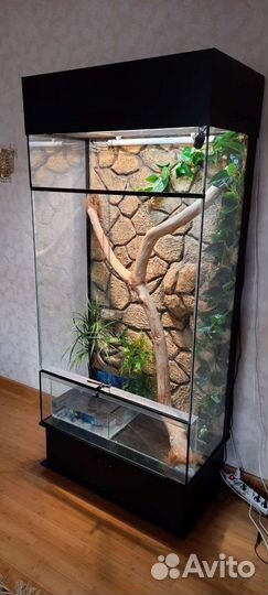 Террариумы для больших рептилий