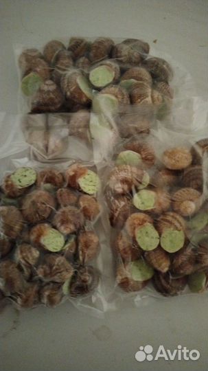 Эскарго улитки