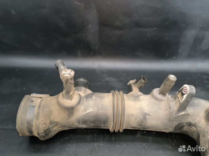 Самка Subaru Forester SG5 EJ205 2005