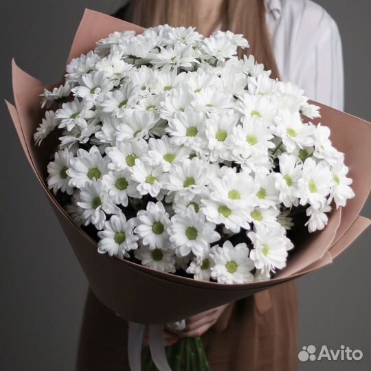 Букет “Воздушные ромашки” из 15 хризантем