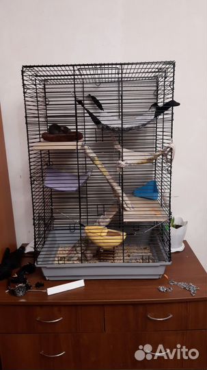 Продаётся клетка