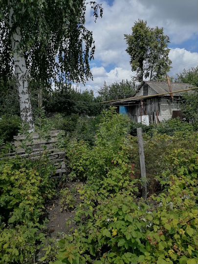 Дача 20 м² на участке 25 сот.