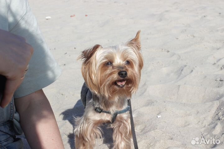 Фотосессия