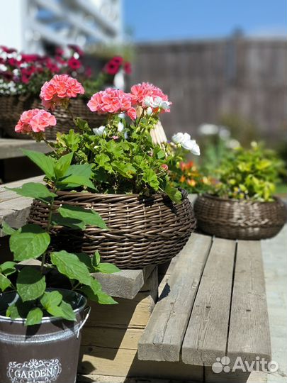 Кашпо из ротанга