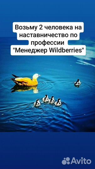 Обучение с нуля