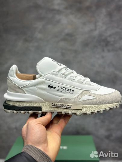 Кроссовки Lacoste люкс