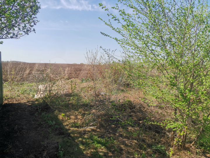 Участок 5,1 сот. (СНТ, ДНП)