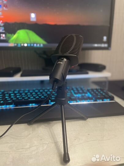 Микрофон Ritmix RDM-125