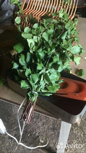 Веники для бани