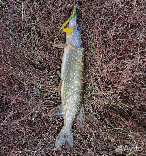 Силиколновая рыбка для рыбалки