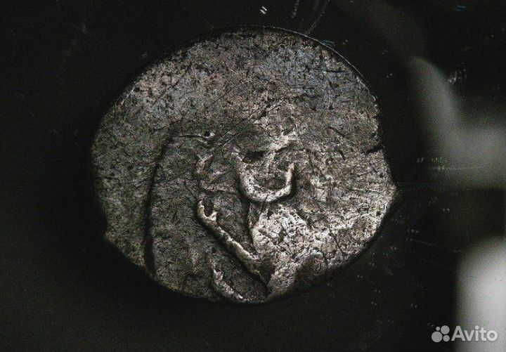 Редчайшая полуденьга с барсом, удельная чешуя