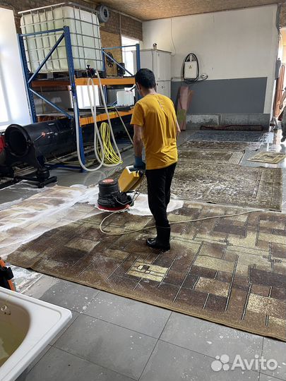 Обучение бизнесу на стирке ковровых изделий