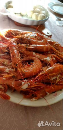 Пивное оборудование аренда