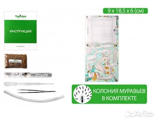 Муравьиная ферма