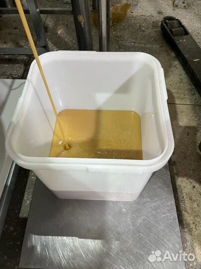 Разнотравье свежий мед оптом опт