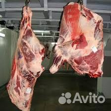 Мясо говядина халяль оптом