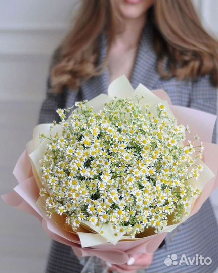 Цветы ромашки. Букеты ромашек. Цветы доставка