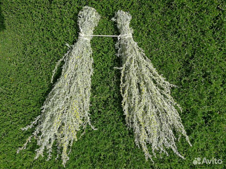 Травы для чая и бани