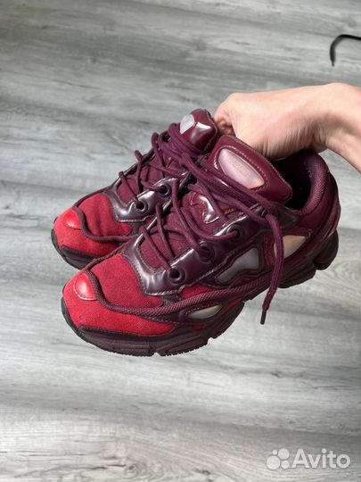 Adidas raf simons ozweego 3