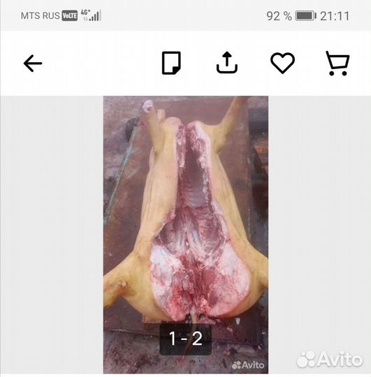 Мясо свинина