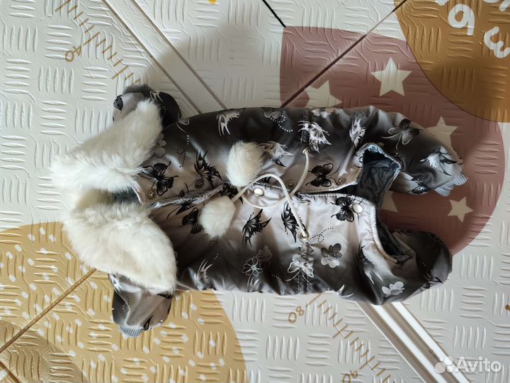 Одежда для маленьких собак