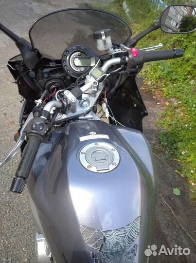 Yamaha FZ6s