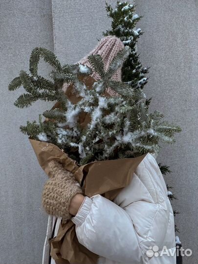 Визуализатор фотограф