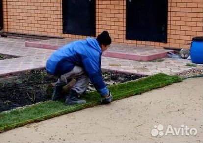 Газон от производителя