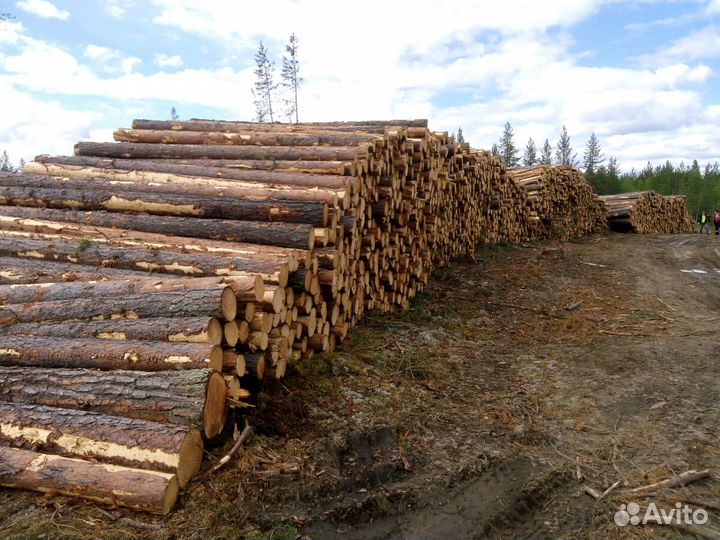 Лесоматериал