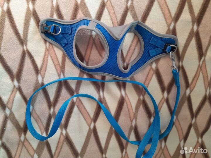 Комбез и шлейка