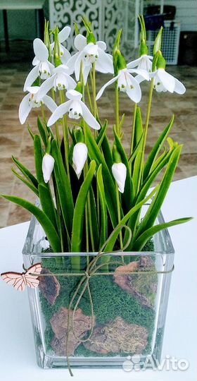 Композиция с подснежниками. Холодный фарфор