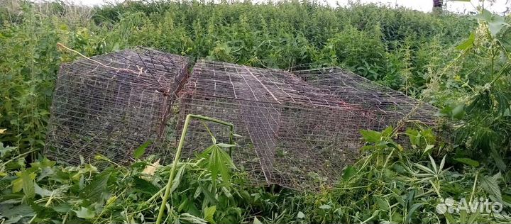 Клетка для кур, для кроликов