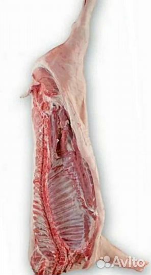 Мясо баранина