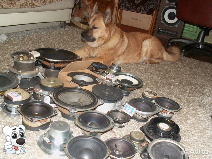 Ремонт динамиков и акустики со времен СССР