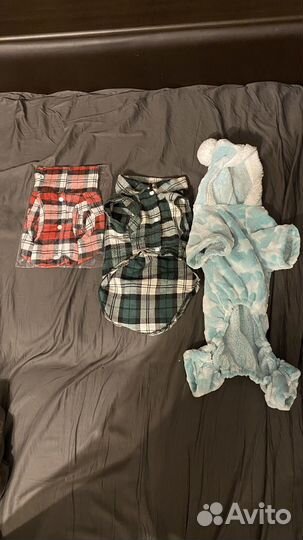 Одежда для кота