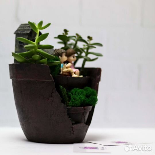 Флорариум композиция из растений суккуленты детям