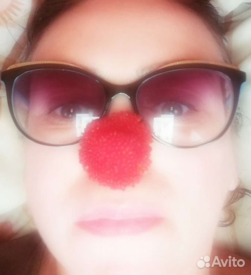 Тибетская малина саженцы