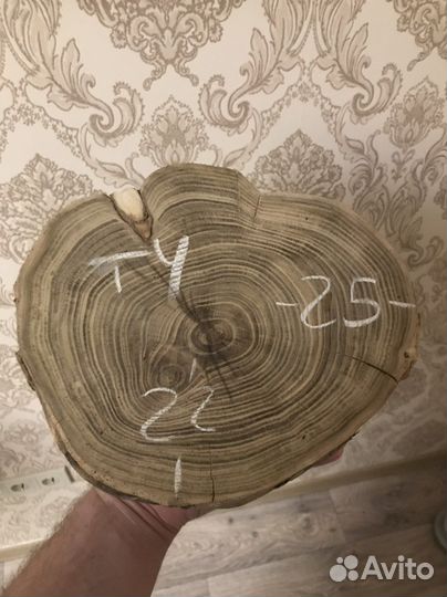 Спил карагача