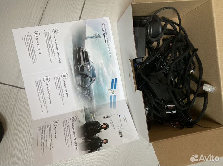 Цезарь Сателлит(escort X+)