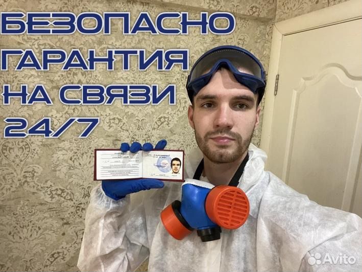 Уничтожение тараканов клопов плесени дезинсекция