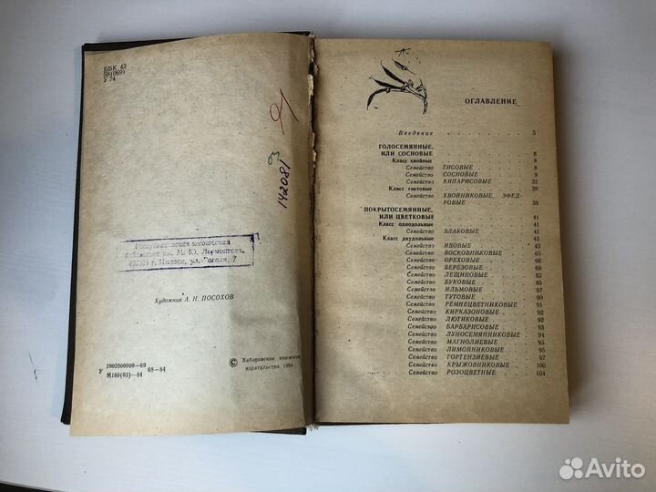 Деревья, кустарники и лианы Д Востока Н.В.Усенко