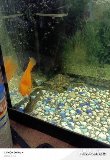 Аквариум 1 метр аксессуарами к нему