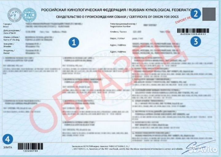 Родословная для Вашей собаки