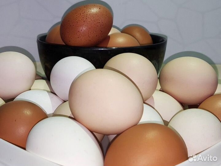 Лотки для куриных яиц