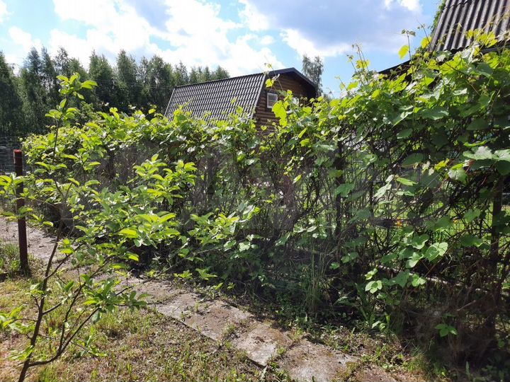 Дача 50 м² на участке 9 сот.