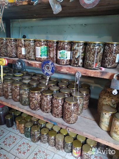 Грибы опята маринованные