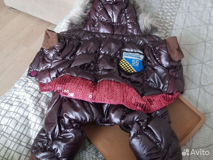 Одежда для маленьких пород собак