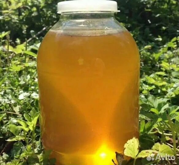 Майский мед 2024