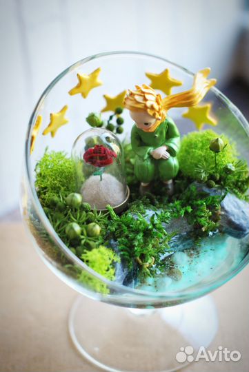 Флорариум моссариум Маленький принц